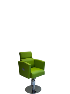 Sleek Curve Professional Chair